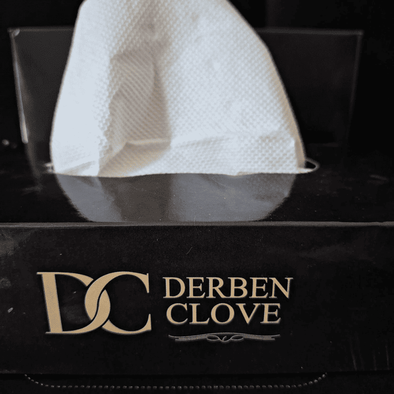 Derben Clove 2 Ply Hand Tissue Box of 100 Sheets - Set of 2