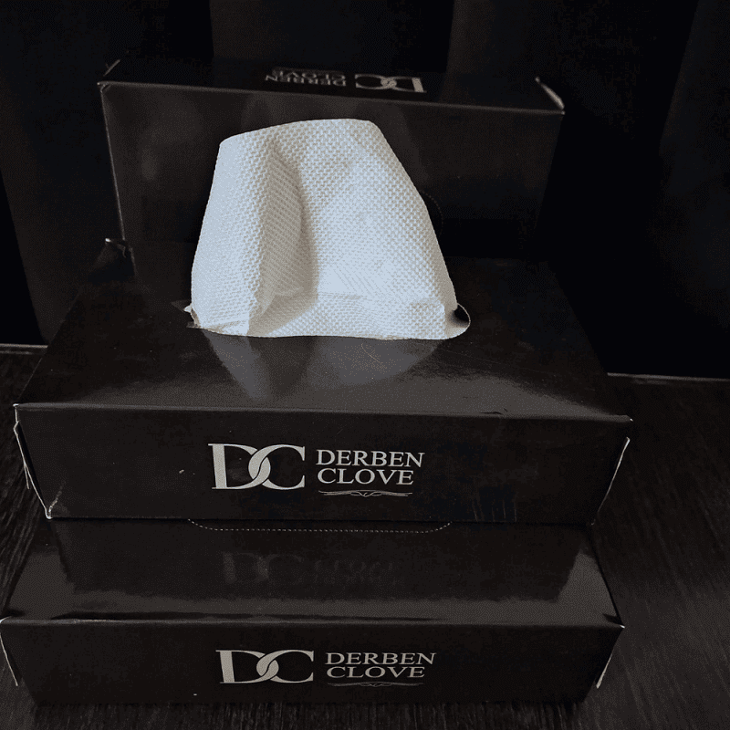Derben Clove 2 Ply Hand Tissue Box of 100 Sheets - Set of 4